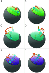 Fig. 2.