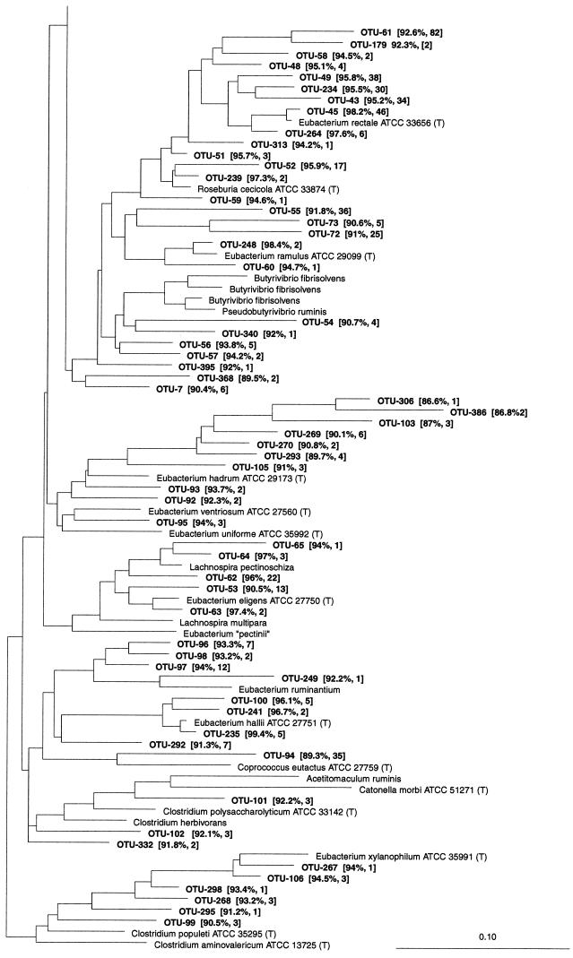 FIG. 5.