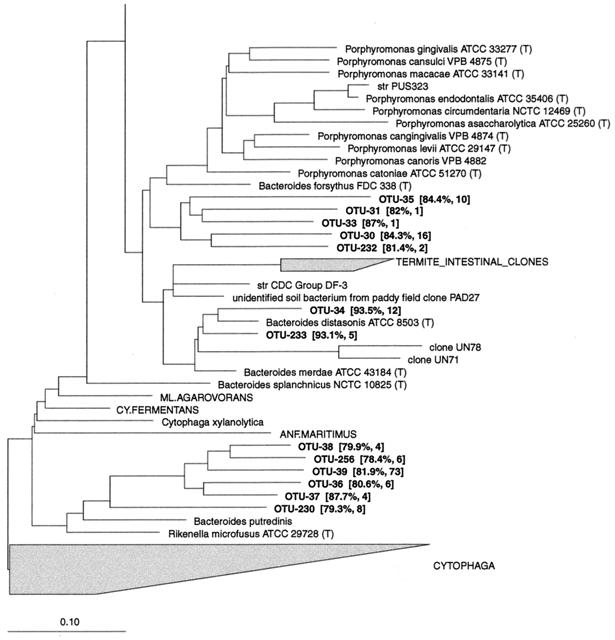 FIG. 7.