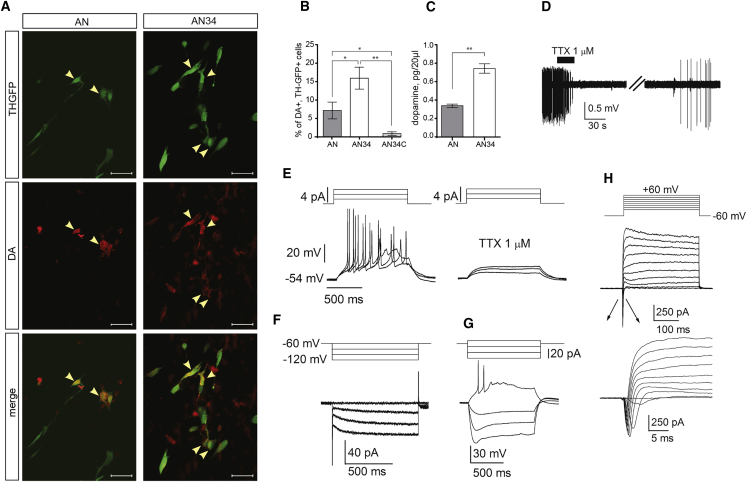 Figure 6