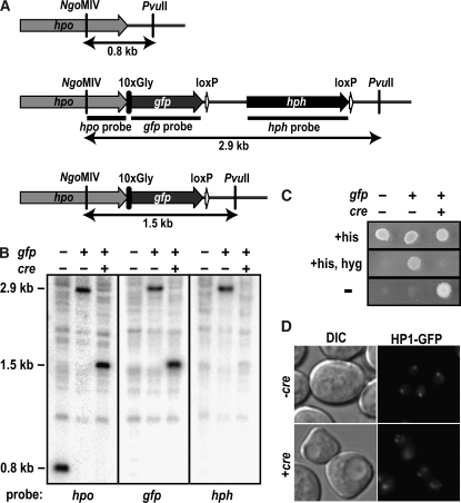 Figure 4.—