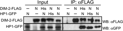 Figure 6.—