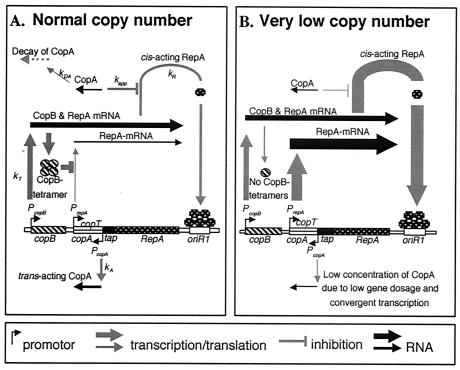 FIG. 1.