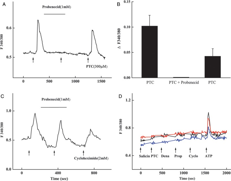 Figure 7