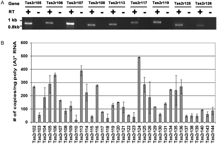 Figure 1