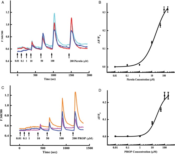 Figure 4