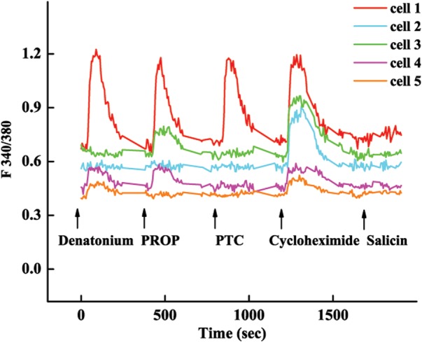 Figure 6