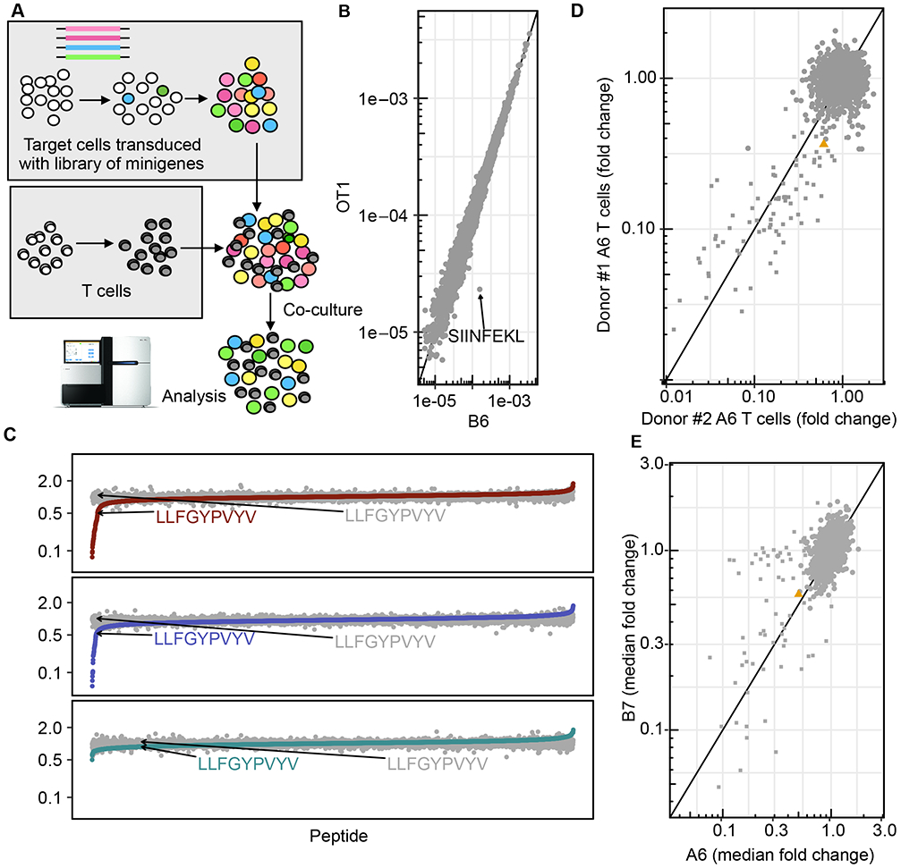 Fig 2: