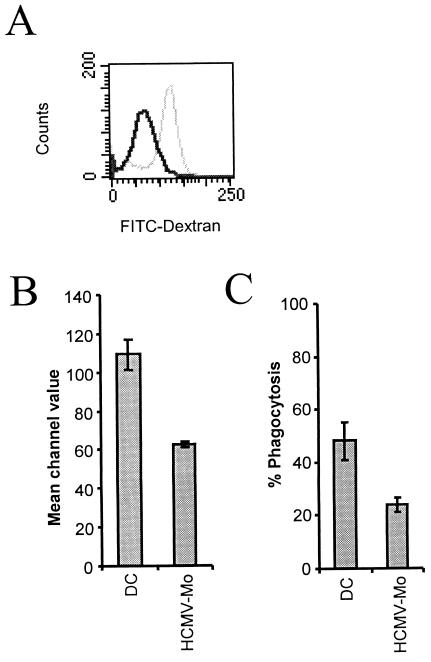 FIG. 5.