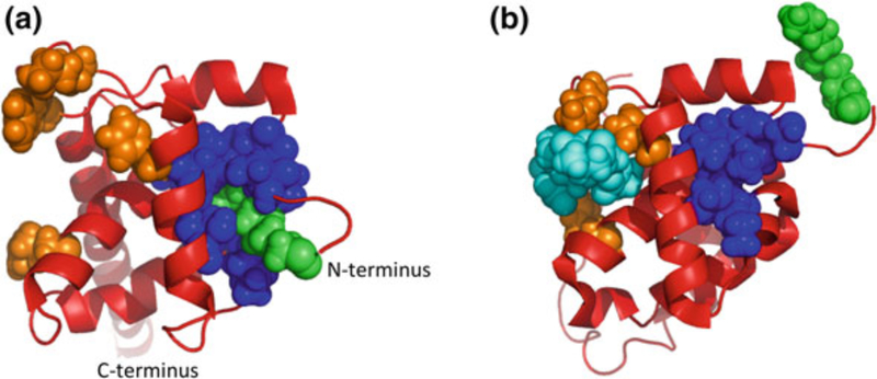 Fig. 5