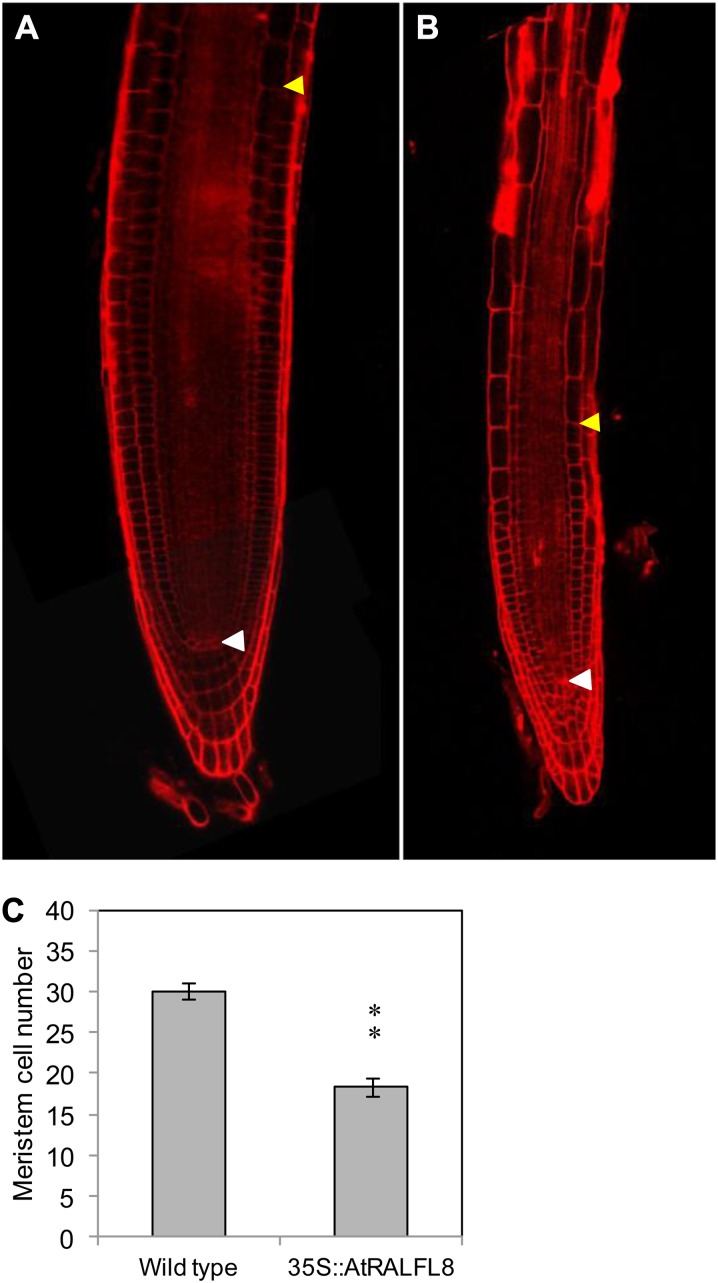 Figure 10.