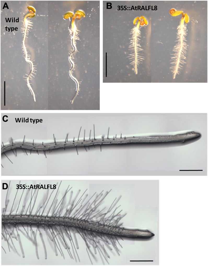 Figure 9.