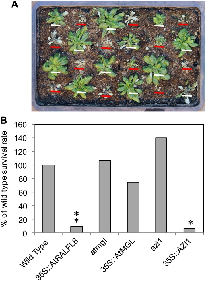 Figure 6.