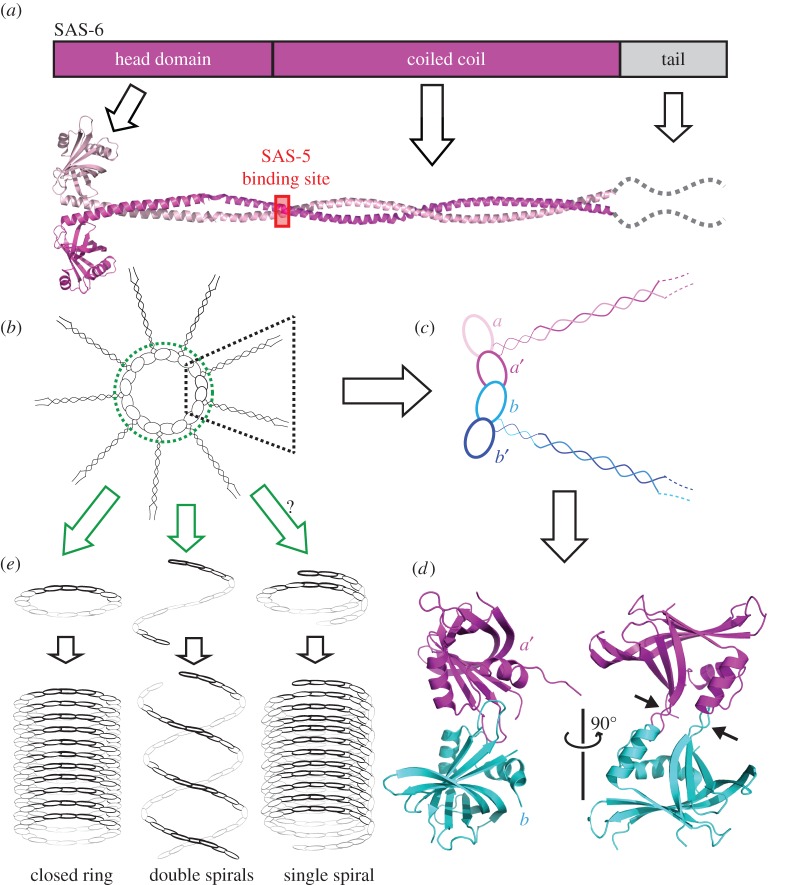 Figure 5.