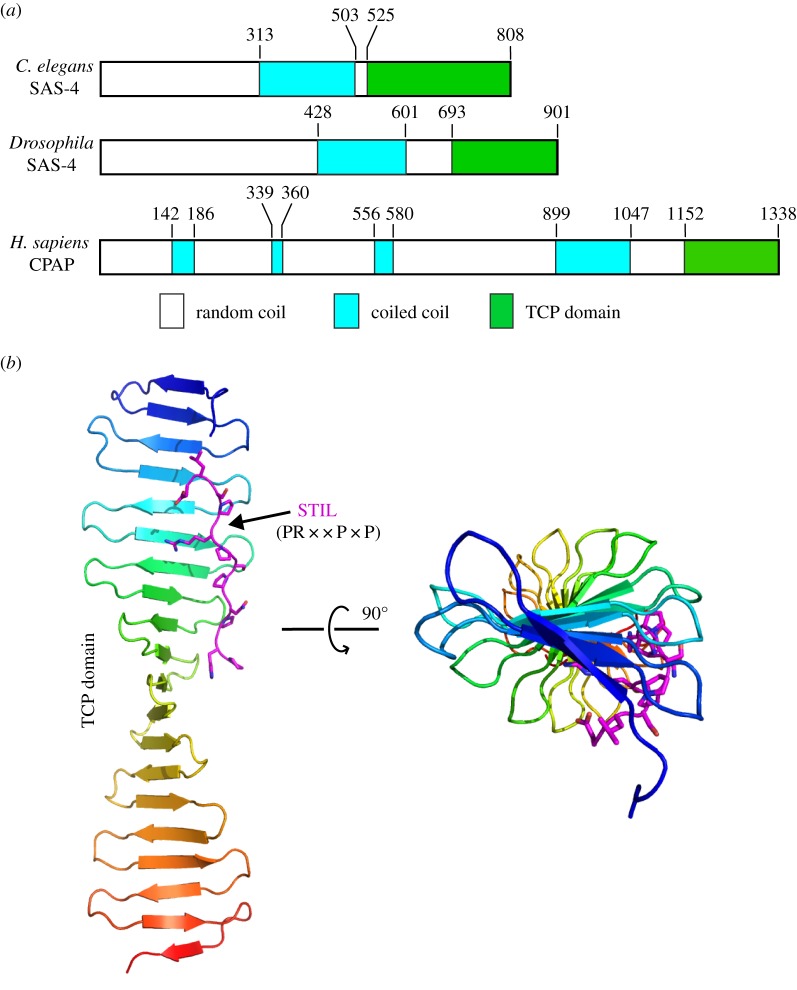 Figure 6.