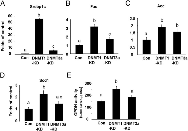 Figure 5.