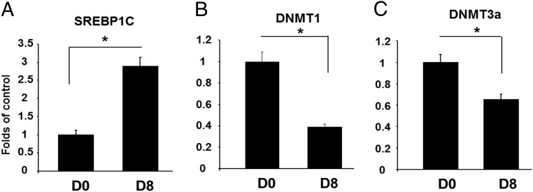 Figure 7.