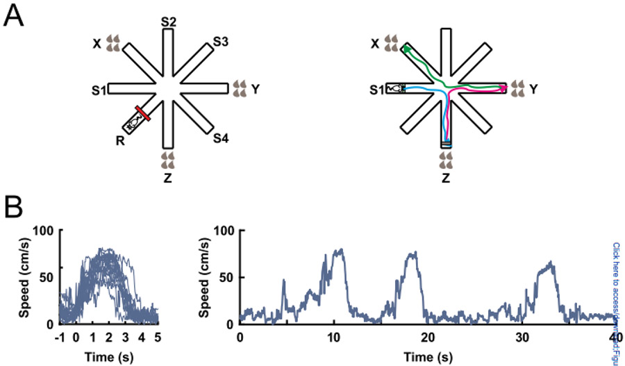 Figure 1: