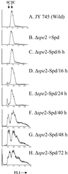 Fig 2.