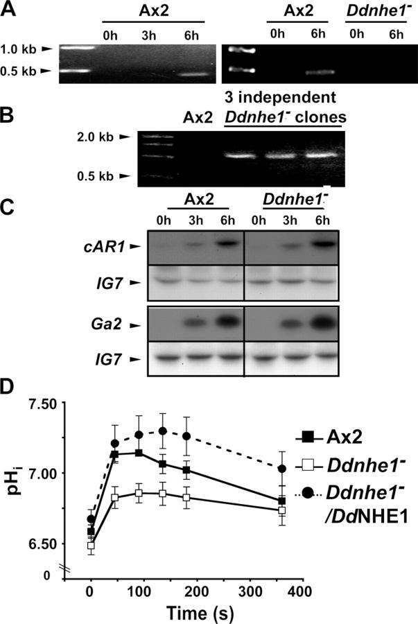 Figure 2.