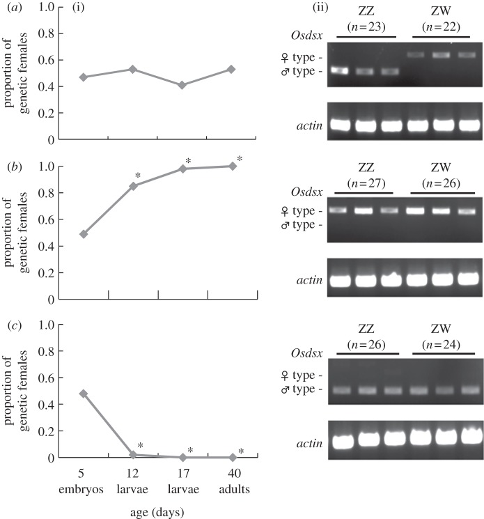 Figure 1.