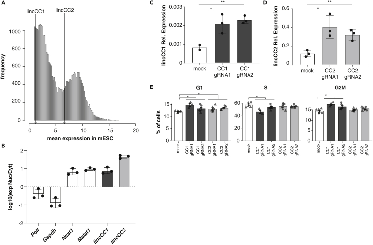 Figure 4