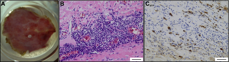 Figure 3