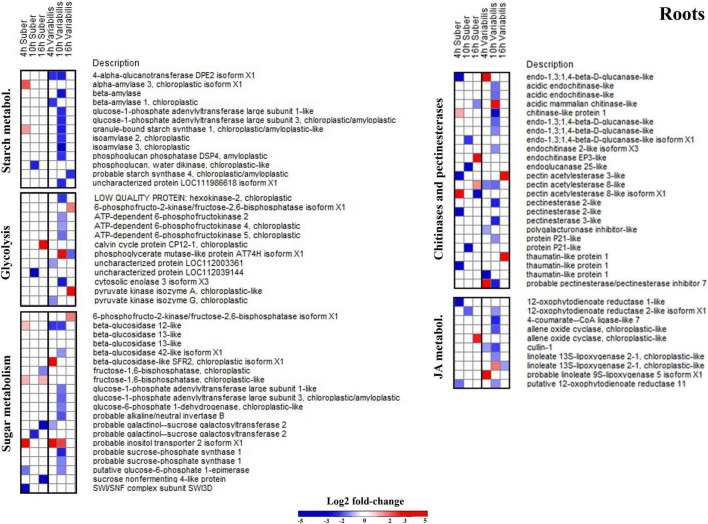 FIGURE 6