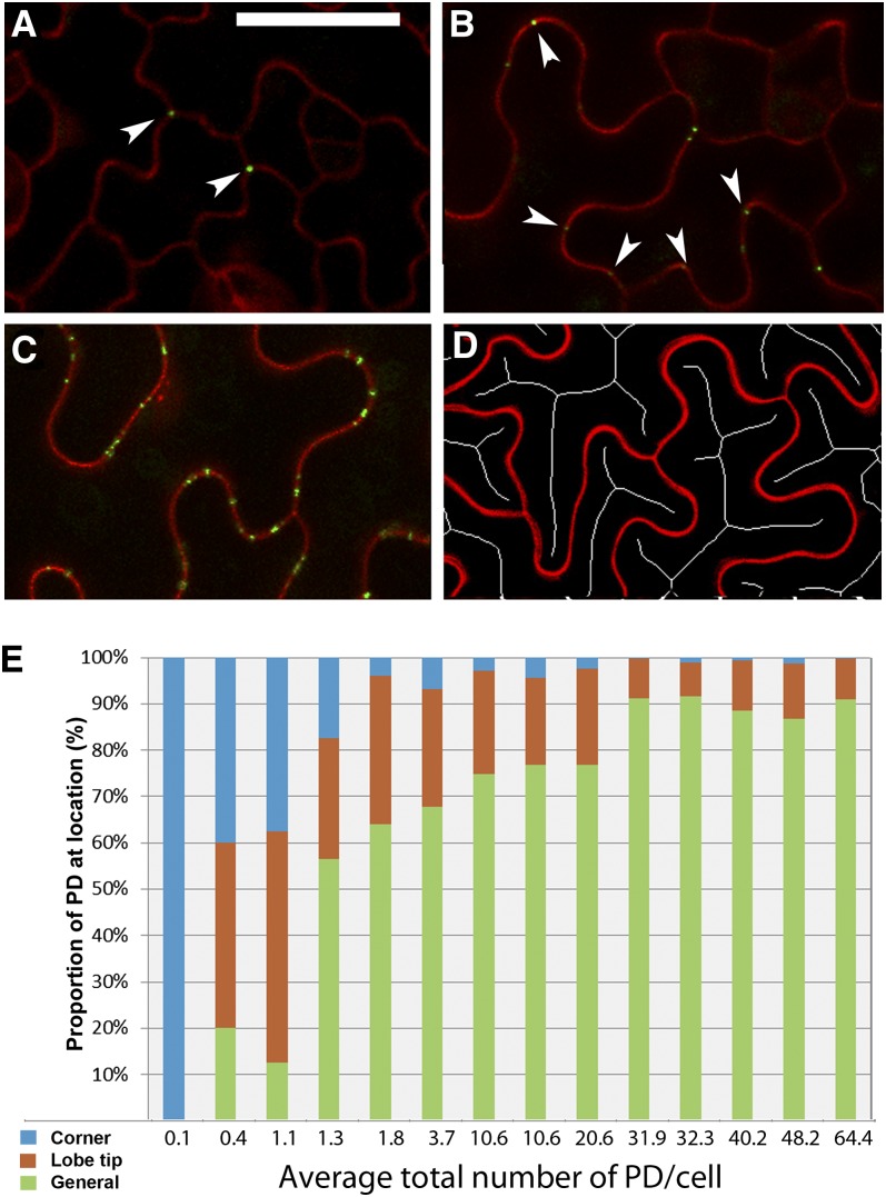 Figure 5.