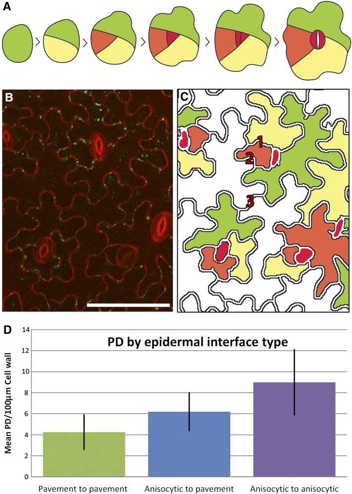 Figure 4.