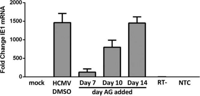 FIG 5