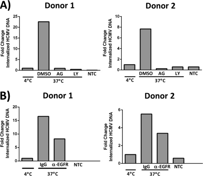 FIG 2