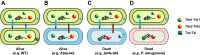 Figure 6