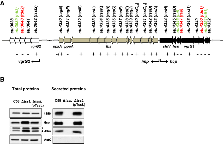 Figure 1