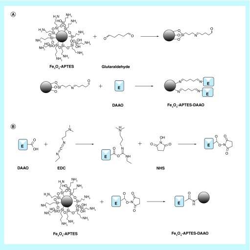 Figure 10. 