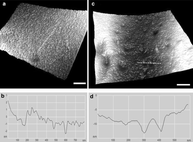 Fig. 3