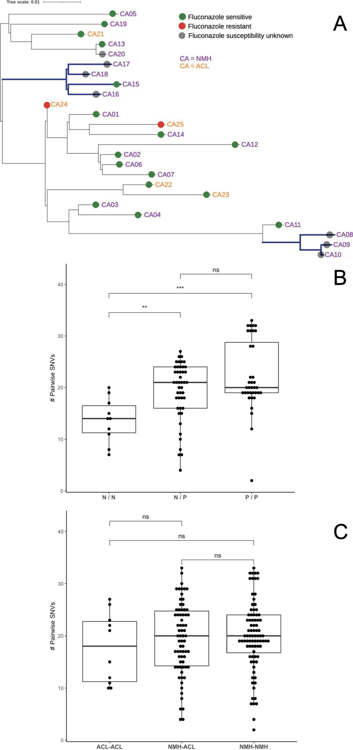 FIG 1