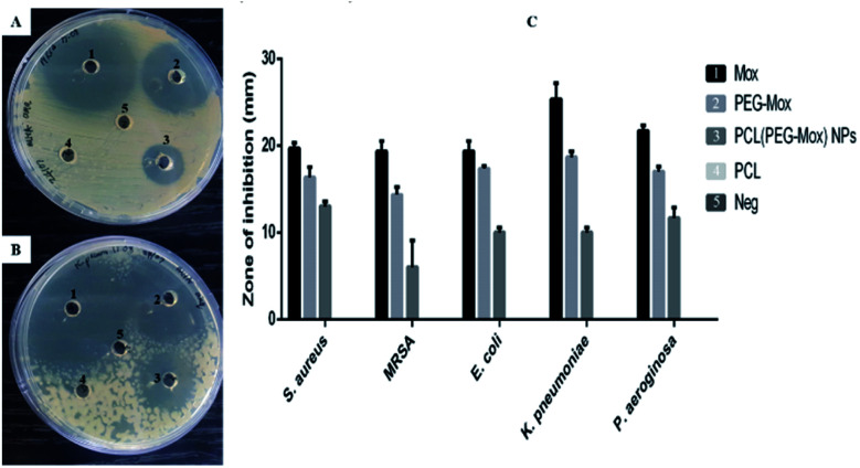 Fig. 10