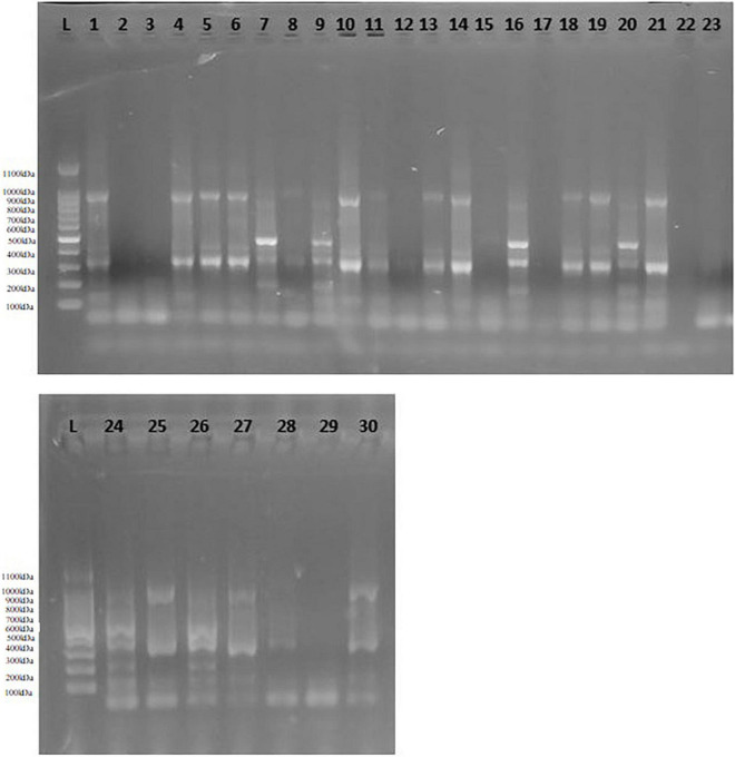 FIGURE 3