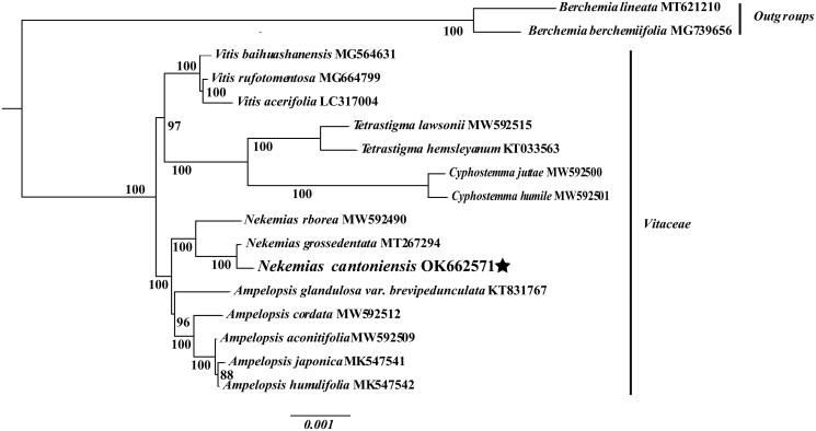 Figure 3.