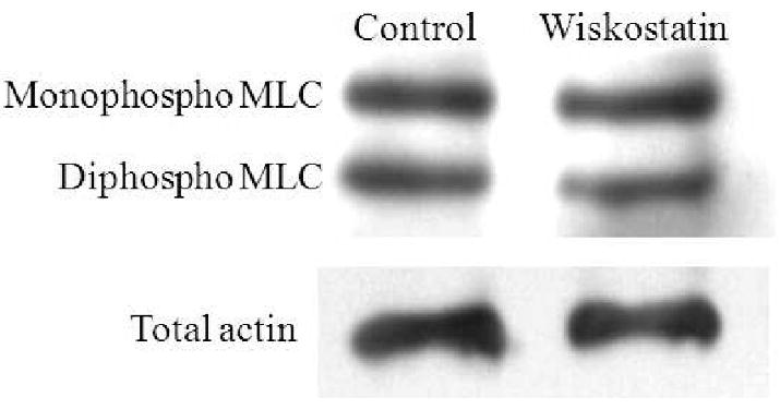 Figure. 7