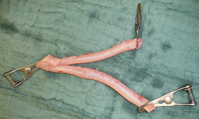 Fig. 7