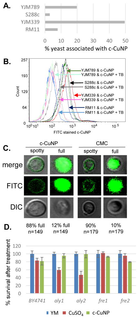 Fig 4