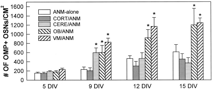 Fig. 5.