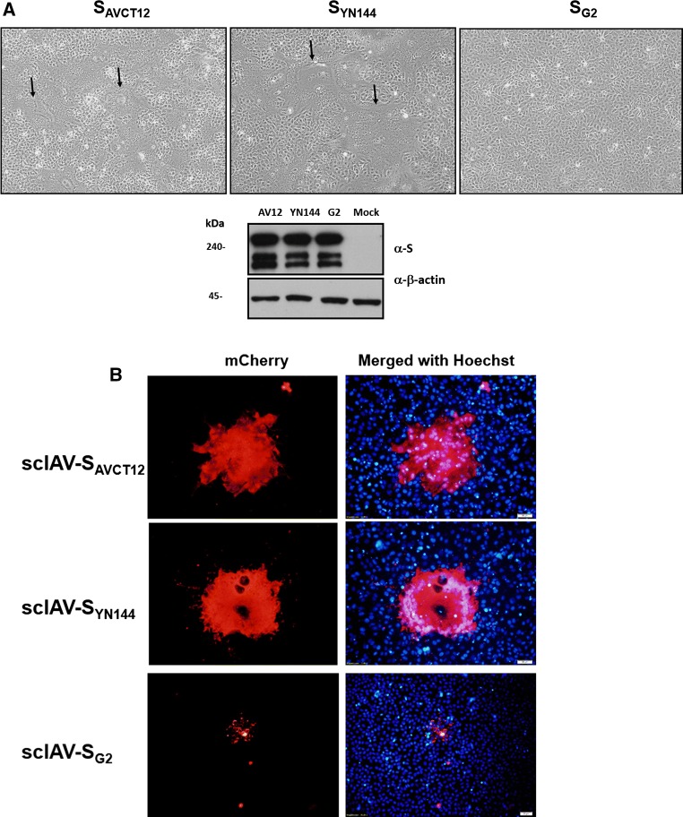 Fig. 4