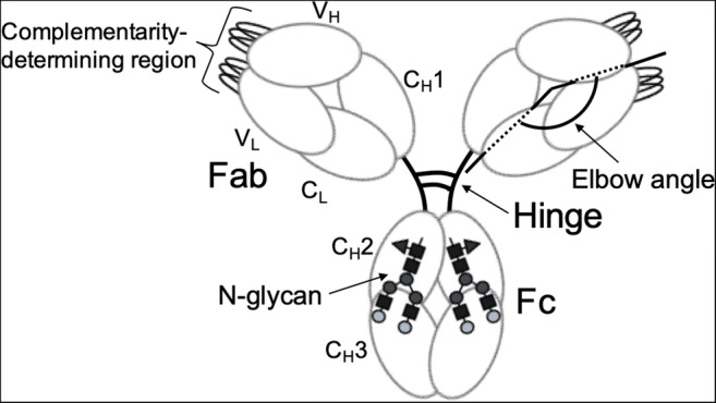 Fig. 1