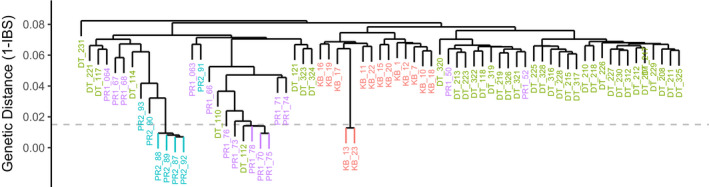 FIGURE 2