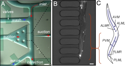 Fig. 2.