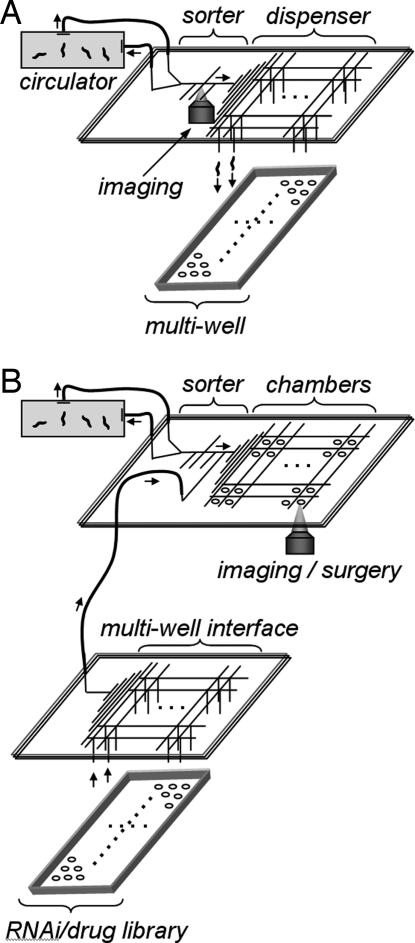 Fig. 5.