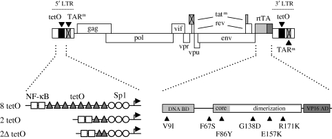 Figure 2.